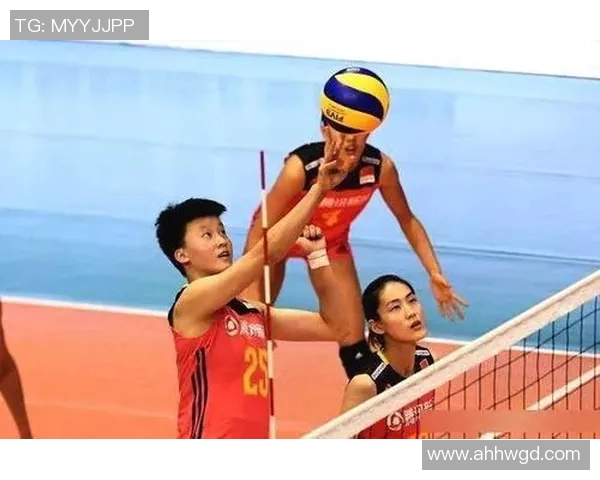 武汉排球队在排球个人能力排行榜中荣登第五名展现强大实力与潜力