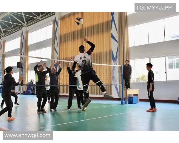 赵娜独家分享排球心得与技巧助你提升球技和比赛表现