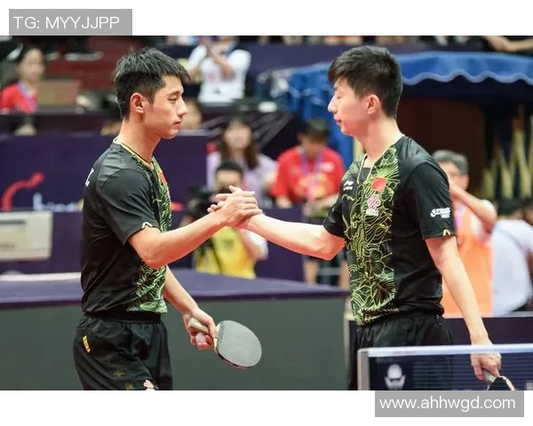 乒乓球的魅力与坚持:深入了解深圳乒乓球队的训练与耐力之道