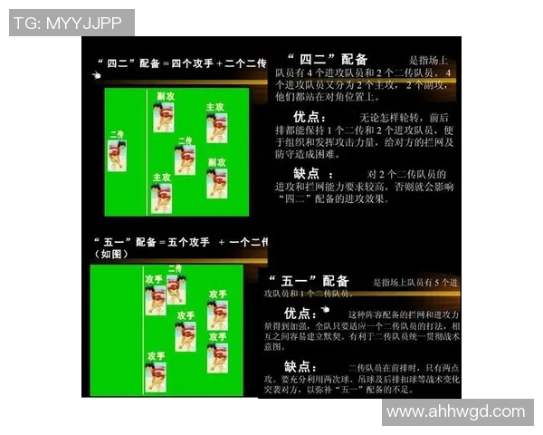 排球比赛经验排行榜揭晓北京排球队荣获第五名展现实力与潜力