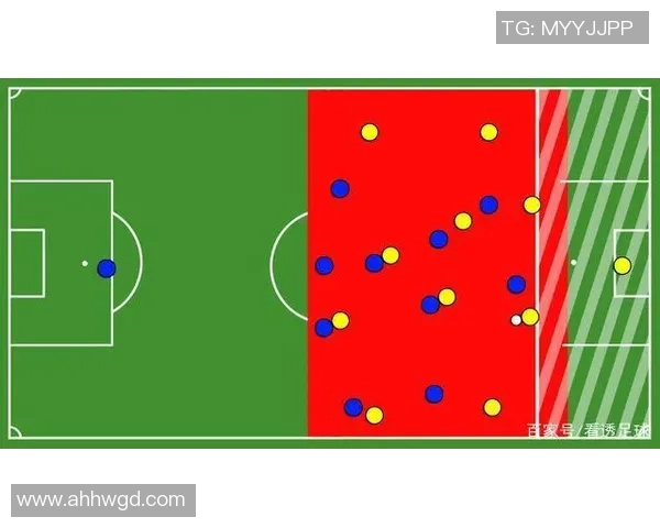 深入分析杭州排球队反击战术的独特魅力与实战应用